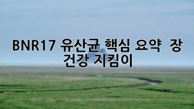 BNR17 유산균 핵심 요약 💯 장 건강 지킴이