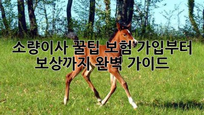 소량이사 꿀팁🍯: 보험 가입부터 보상까지 완벽 가이드! 🚚💨