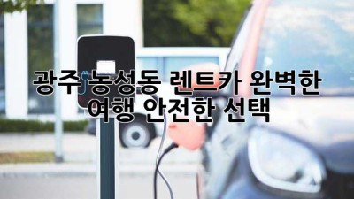 광주 농성동 렌트카: 완벽한 여행, 안전한 선택