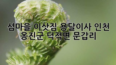 섬마을 이삿짐, 용달이사 인천 옹진군 덕적면 문갑리