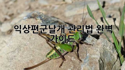익상편군날개 관리법 완벽 가이드